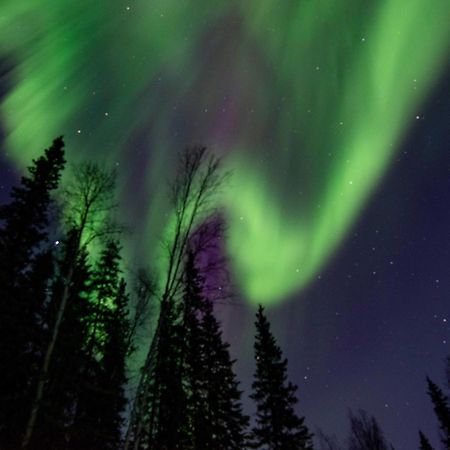 Riverside Log Cabin On-Site Aurora Viewing! North Pole Exterior foto