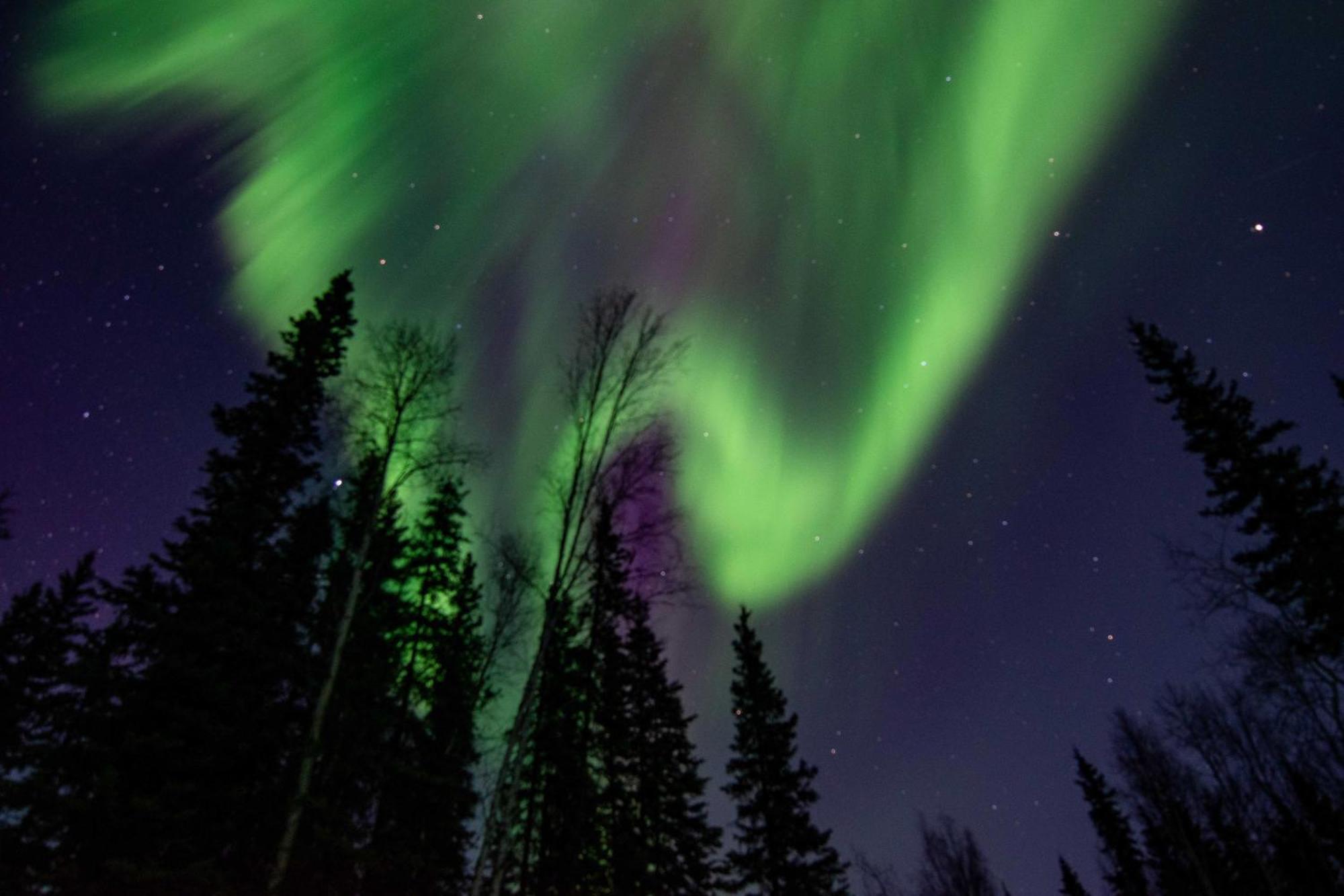 Riverside Log Cabin On-Site Aurora Viewing! North Pole Exterior foto